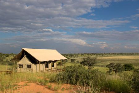 Tented Lodges