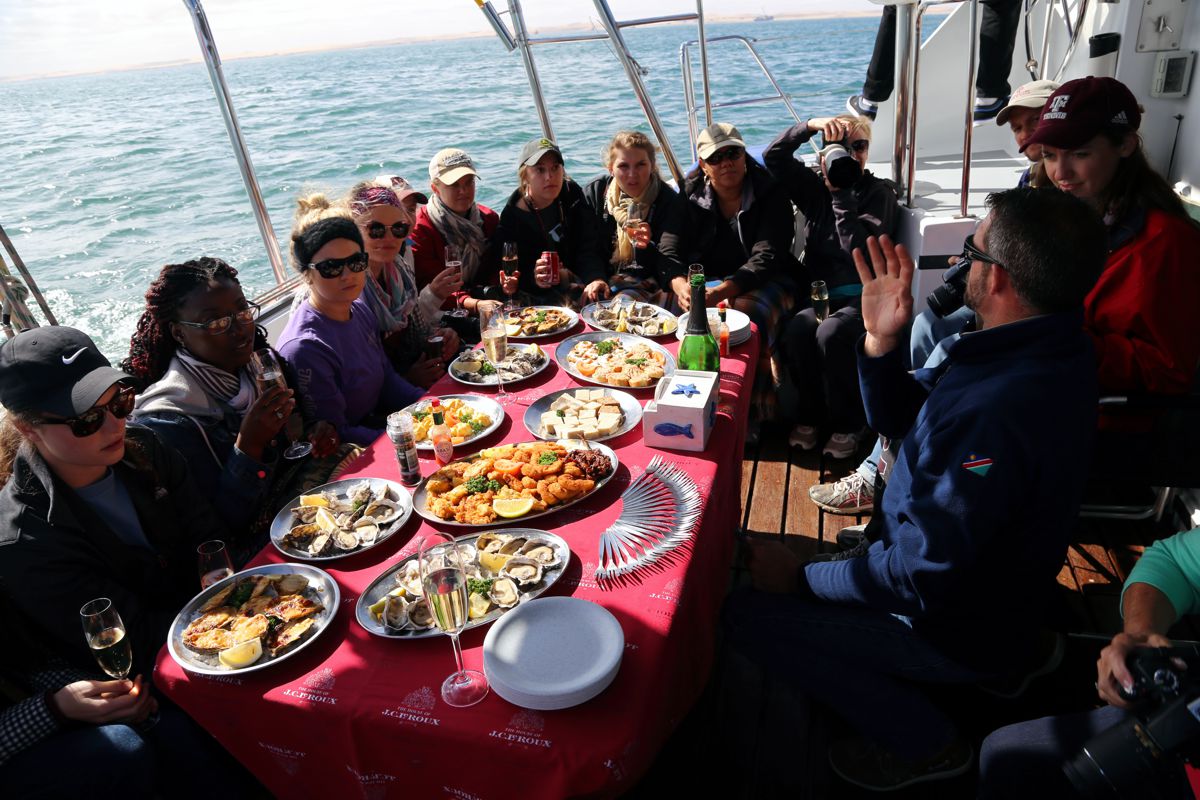 Dolphin and Seal Cruise