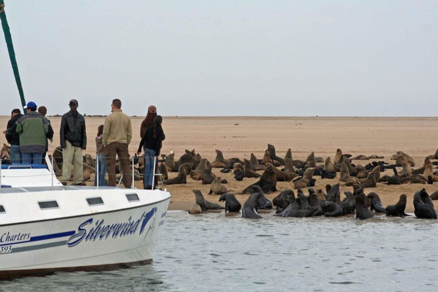 Marine Desert Adventure