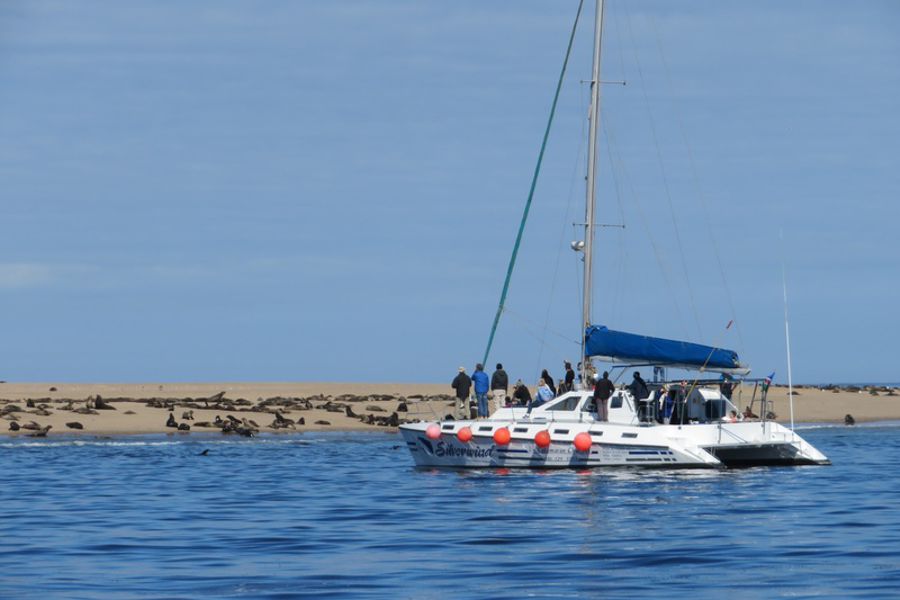 Marine Desert Adventure