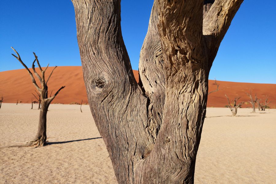 3 Day Sossusvlei Safari Shuttle