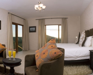Double/Twin Room