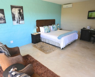 Double/Twin Room