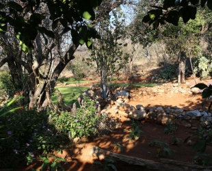 Campsite