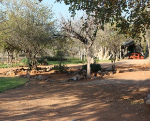 Campsite