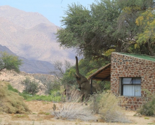 Chalet