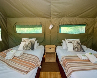 Rustic Tent