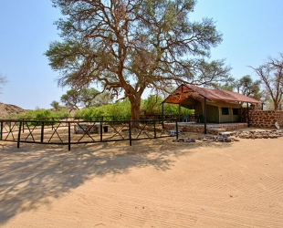 Rustic Tent