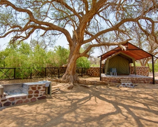 Rustic Tent