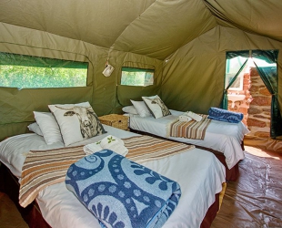 Rustic Tent
