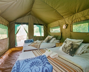 Rustic Tent