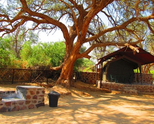 Rustic Tent