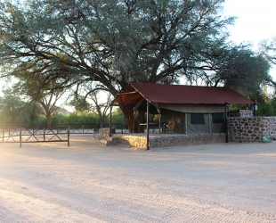 Rustic Tent