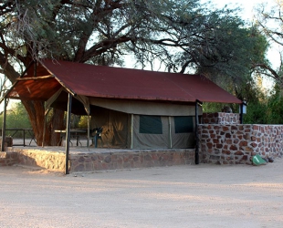 Rustic Tent