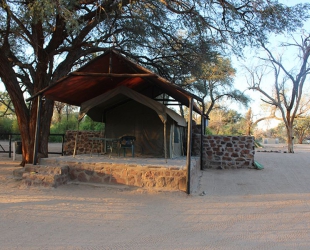 Rustic Tent