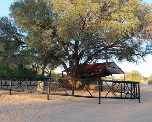 Rustic Tent