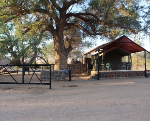 Rustic Tent