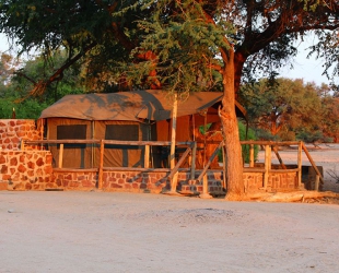 Rustic Tent