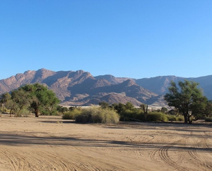 Campsite