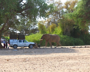 Campsite