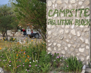 Campsite