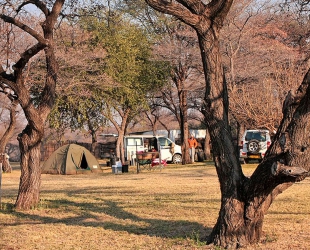 Campsite