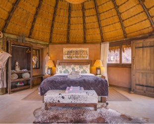 Mini Suite