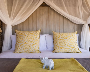 Mountain Suite