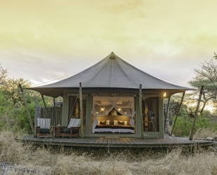 Safari-Zelt
