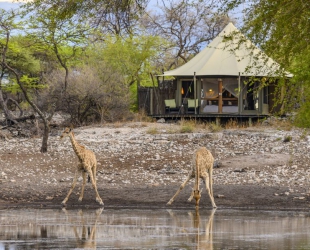 Safari-Zelt