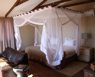 Honeymoon Suite (Exclusive Dune)