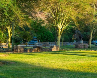 Campsite