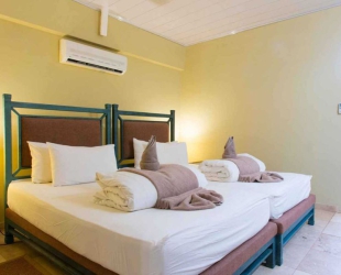 Mountain View Double Room