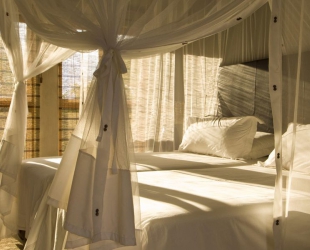 Luxury Chalet