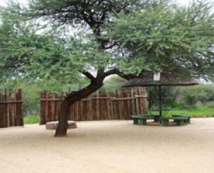 Campsite