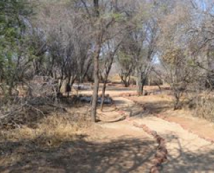 Campsite