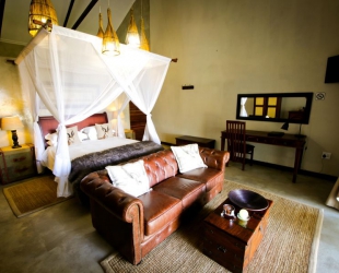 Elegant Room